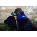 Collare Luminoso "PET LED"