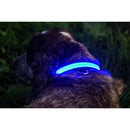 Collare Luminoso "PET LED"