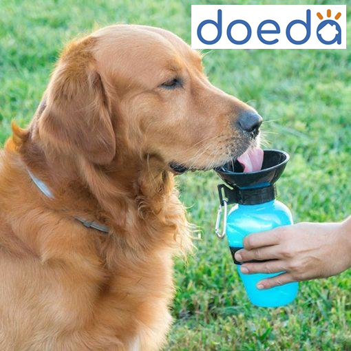 Bottiglia per cani "Dogs Bottle"